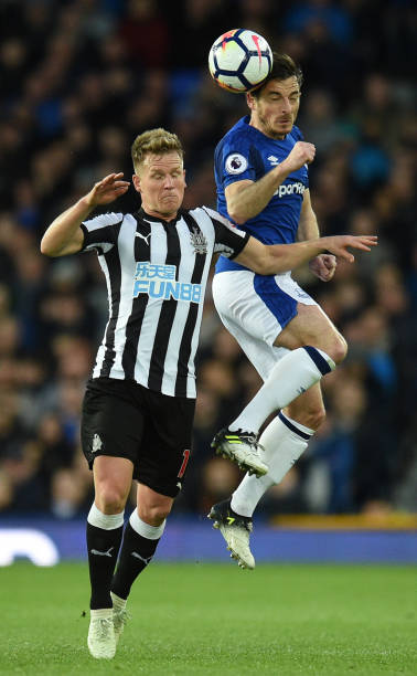 界杯的球队 界杯的球队