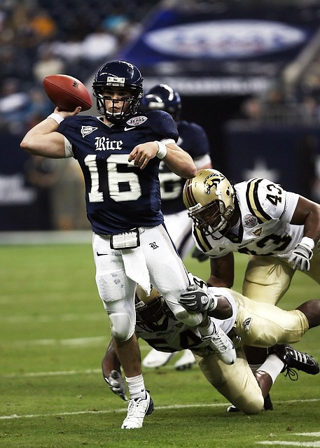 帕利尼亚离 帕利尼亚离