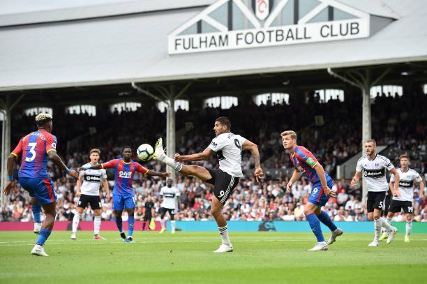 的关注和猜 的关注和猜